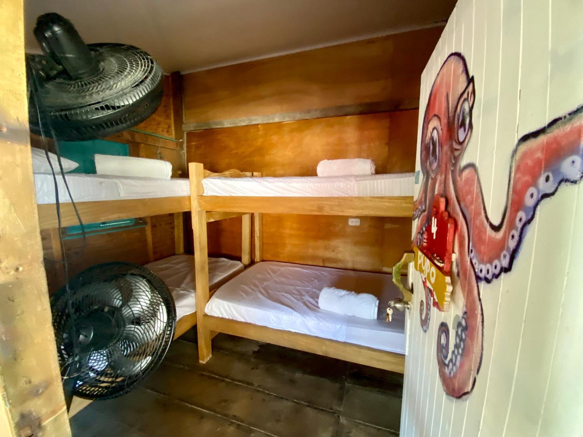 Eco Hostal Estrella De Mar جزيرة موكورا المظهر الخارجي الصورة